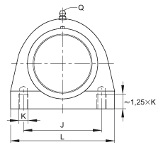 直立式軸承座單元 PSHE20-TV-FA125.5, 塑料軸承座,帶偏心鎖圈的外球面球軸承,帶 Corrotect? 涂層,P型密封 直立式軸承座單元 PSHE20-TV-FA125.5, 塑料軸承座,帶偏心鎖圈的外球面球軸承,帶 Corrotect? 涂層,P型密封