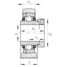 直立式軸承座單元 TSHE60-N, 鑄鐵軸承座，帶偏心鎖圈的外球面球軸承，T 型密封